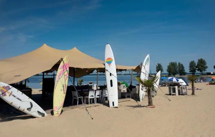 Traum Ferienhaus Mit Dachterrasse Am Veluwemeer Hulshorst Exteriör bild